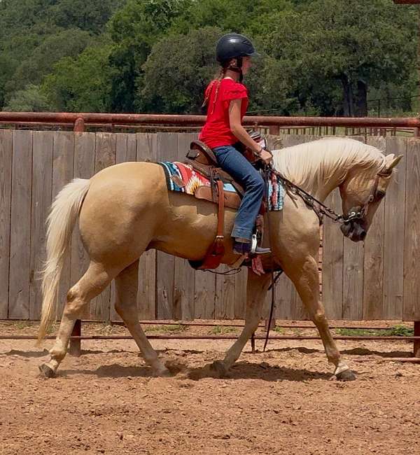 kid-safe-quarter-horse