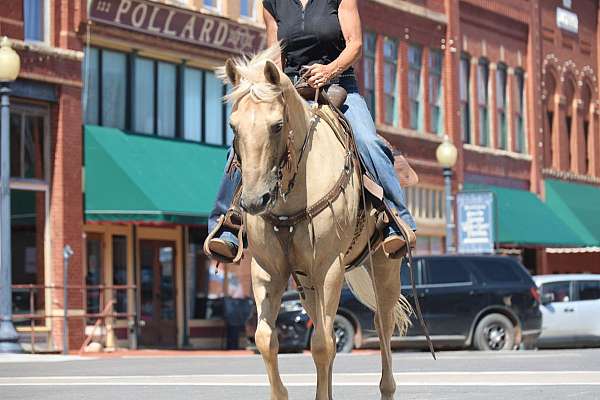 ranch-quarter-horse