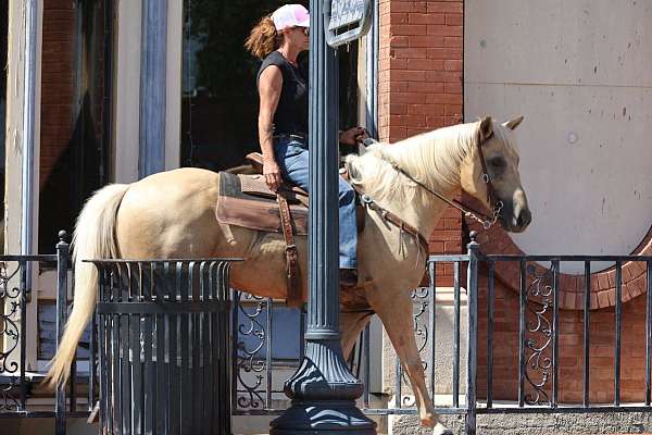 ranch-versatility-quarter-horse