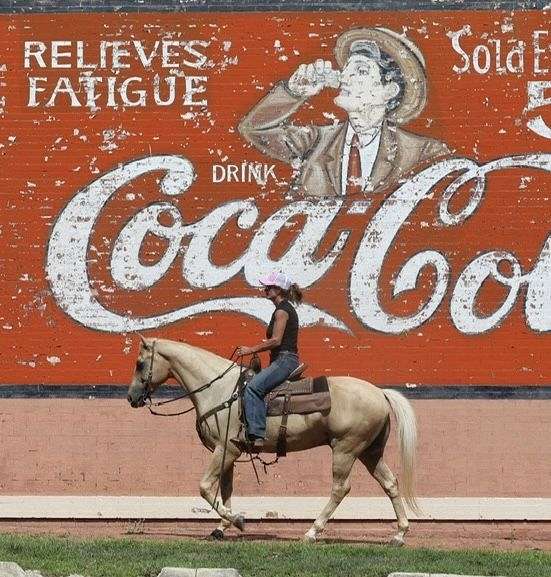 ranch-work-quarter-horse