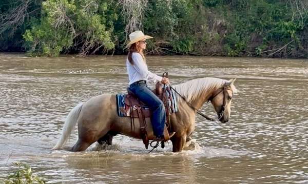 trail-riding-quarter-horse
