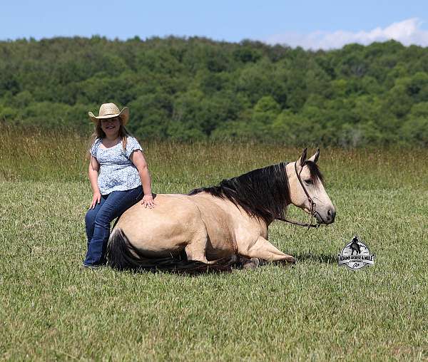 ranch-work-quarter-horse