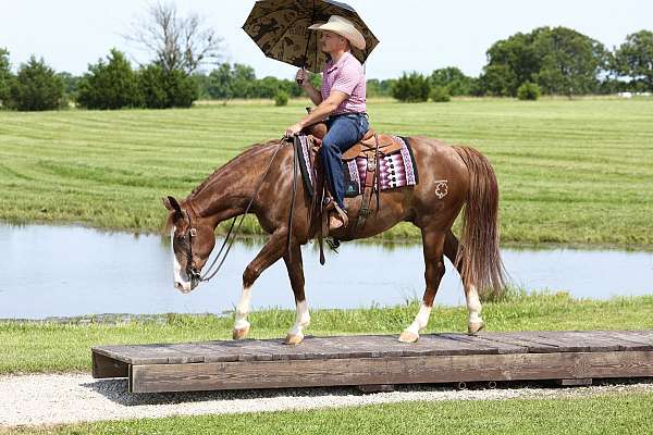 roping-quarter-horse