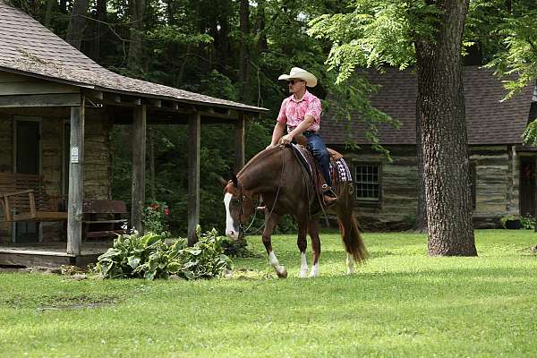 trail-riding-quarter-horse