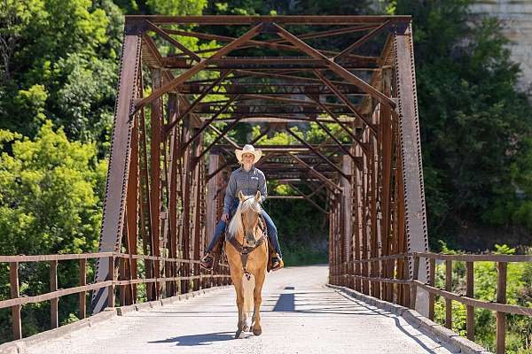 roping-quarter-horse