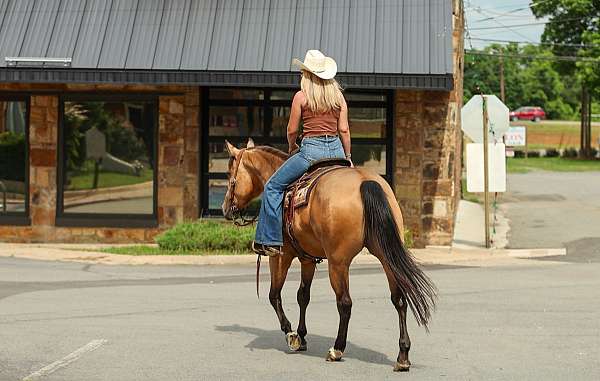 barrel-quarter-horse