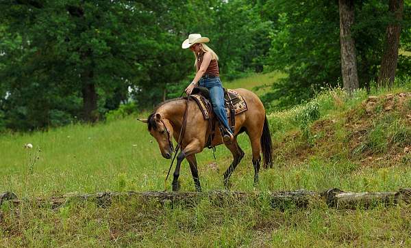 flashy-quarter-horse