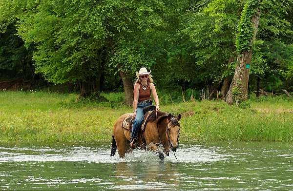 husband-safe-quarter-horse