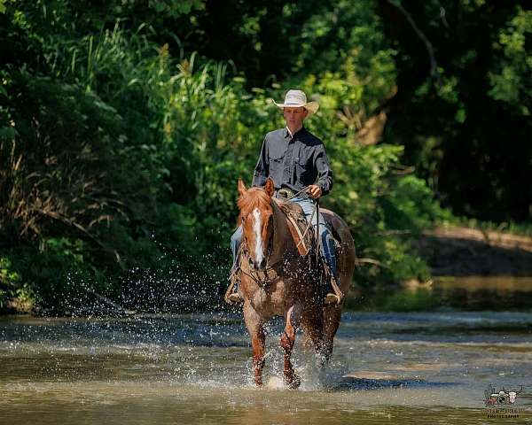 ranch-work-draft-horse