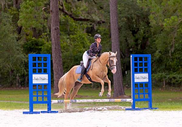 jumping-quarter-horse