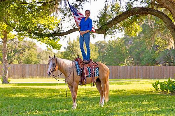 ridden-english-quarter-horse