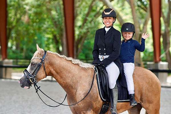 ridden-western-quarter-horse