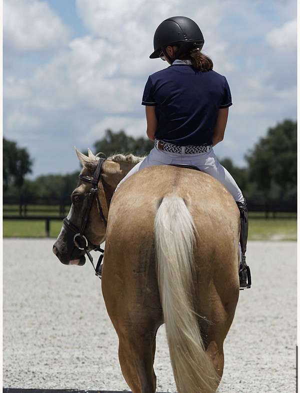 youth-quarter-horse