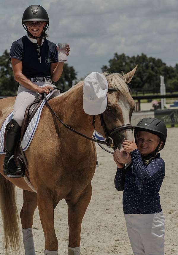 palomino-athletic-horse