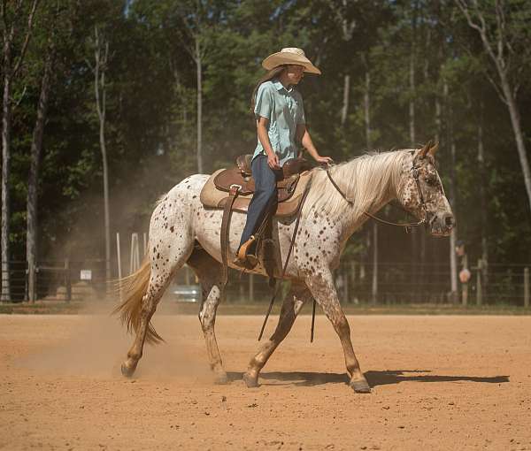 ranch-poa-horse