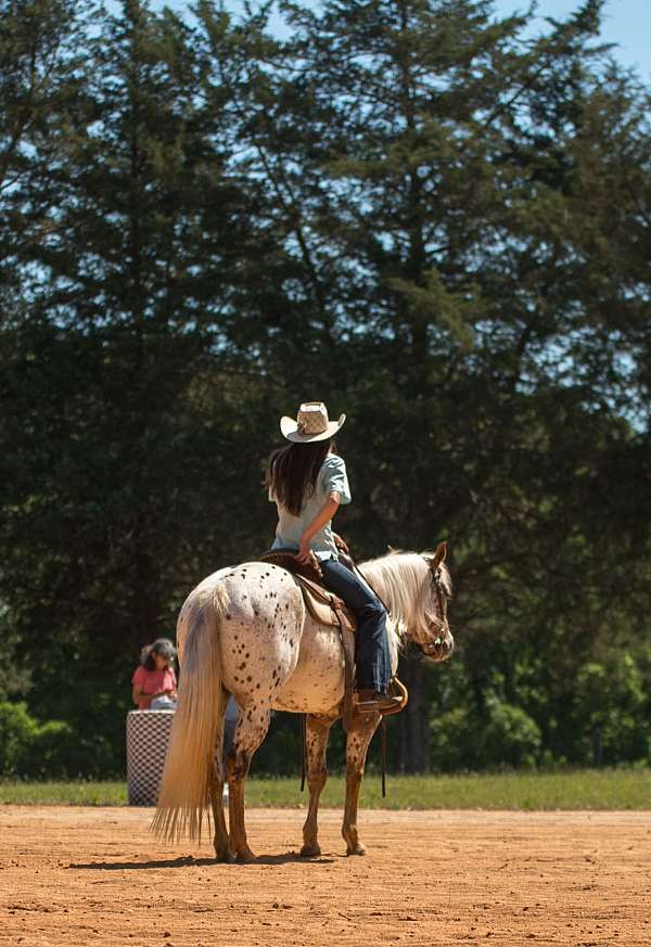 ranch-work-poa-horse