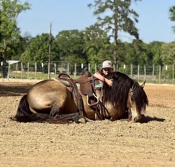 athletic-gypsy-vanner-horse