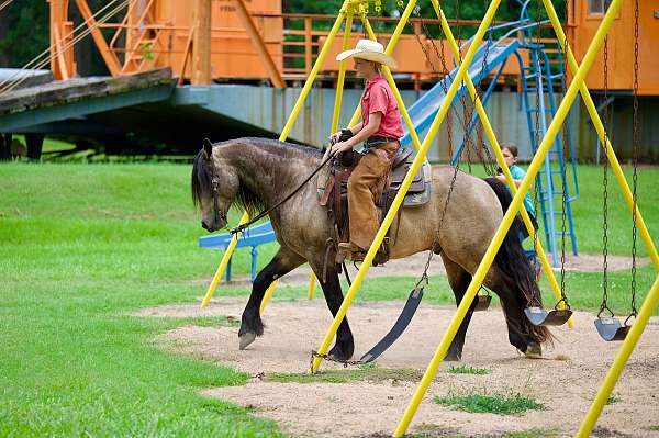 trail-riding-gypsy-vanner-horse