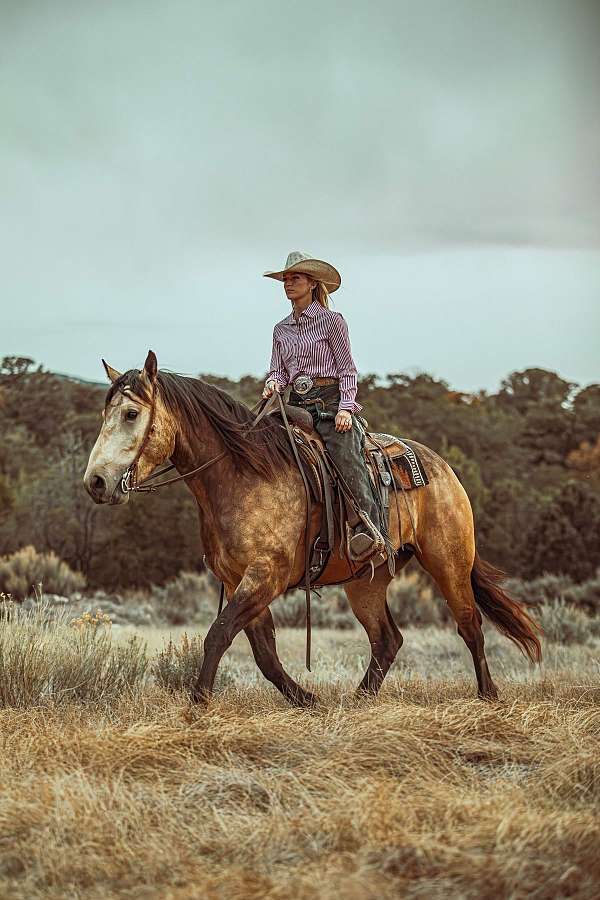 kid-safe-draft-horse