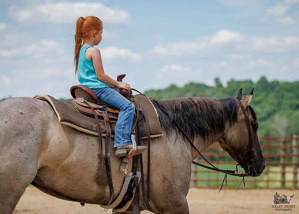 flashy-quarter-horse