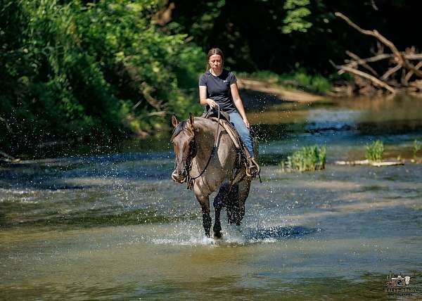 lesson-quarter-horse