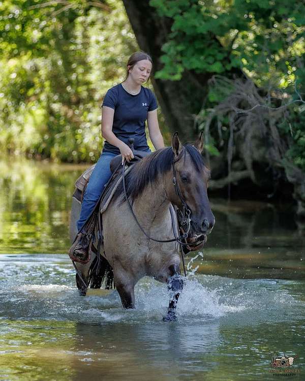 ranch-quarter-horse
