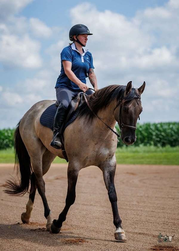 ranch-work-quarter-horse