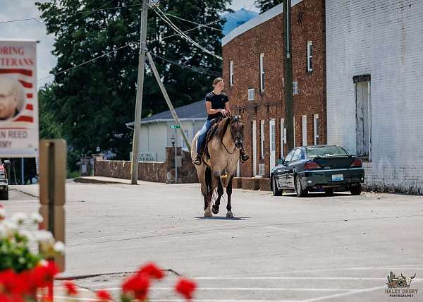 ridden-western-quarter-horse