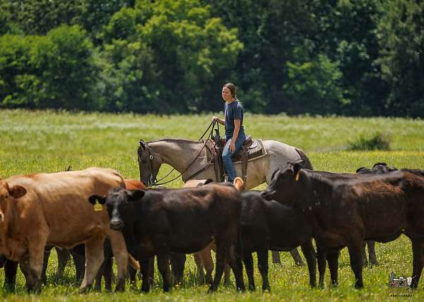 trail-riding-quarter-horse