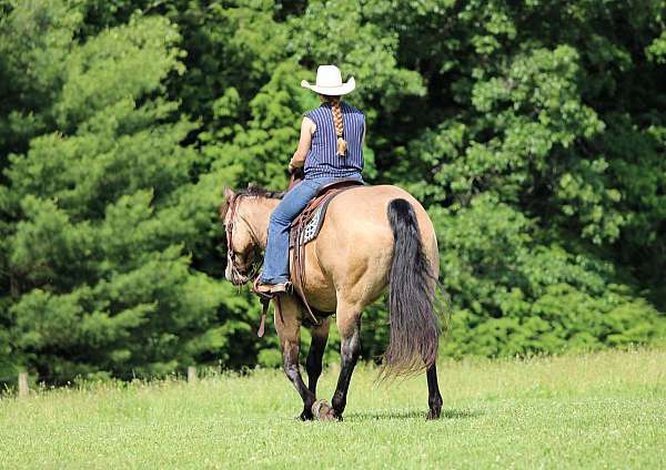 flashy-quarter-horse