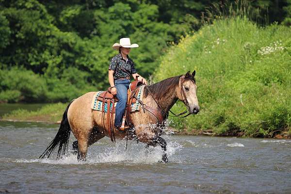 ranch-versatility-quarter-horse