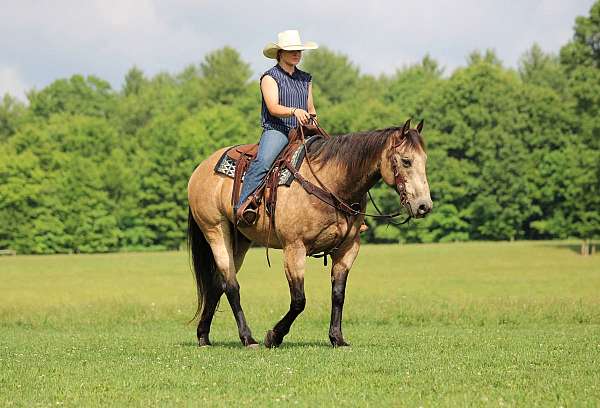 ranch-work-quarter-horse