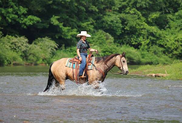 roping-quarter-horse