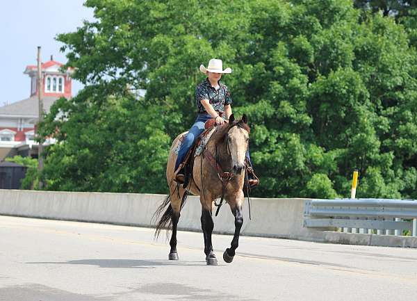 trail-riding-quarter-horse