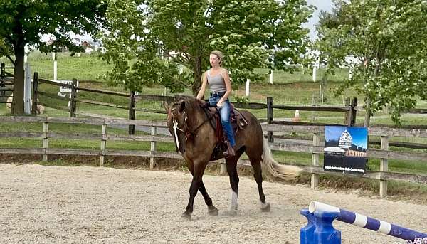 kid-safe-gypsy-vanner-horse
