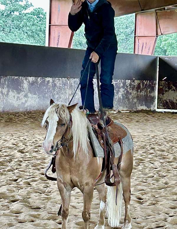 athletic-pony