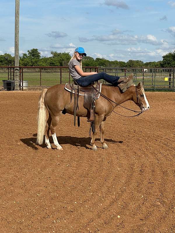 kid-safe-pony