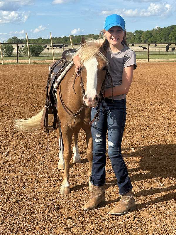 lesson-pony