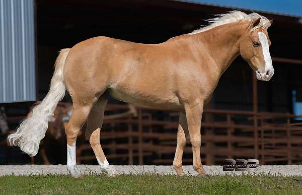playday-pony
