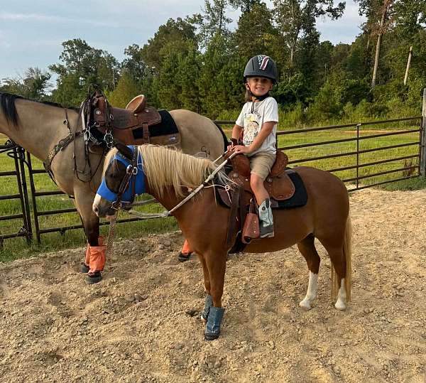 ranch-work-pony