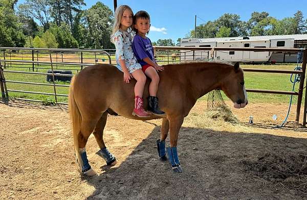 show-pony