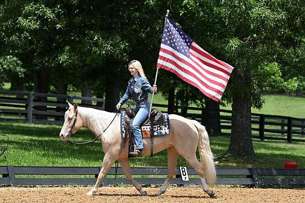 western-quarter-horse