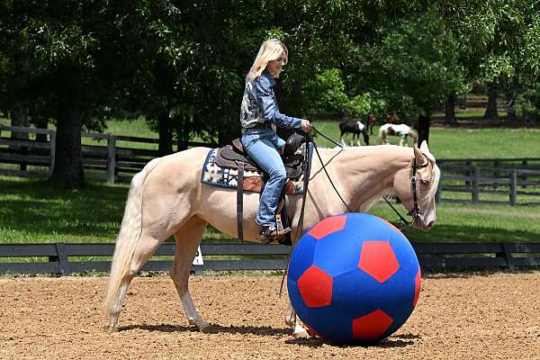 champagne-quarter-horse