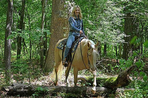 athletic-quarter-horse