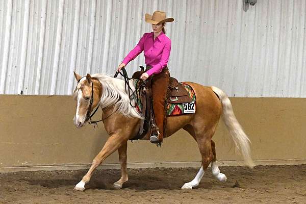 mare-quarter-horse