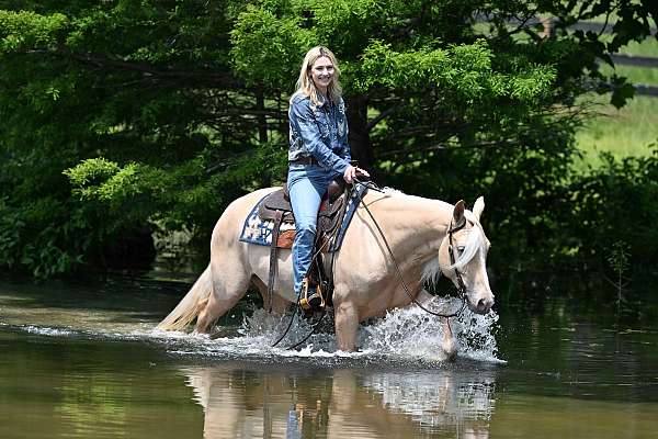 bombproof-quarter-horse