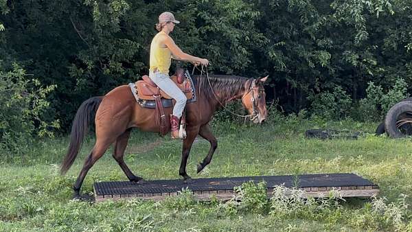 ranch-quarter-horse
