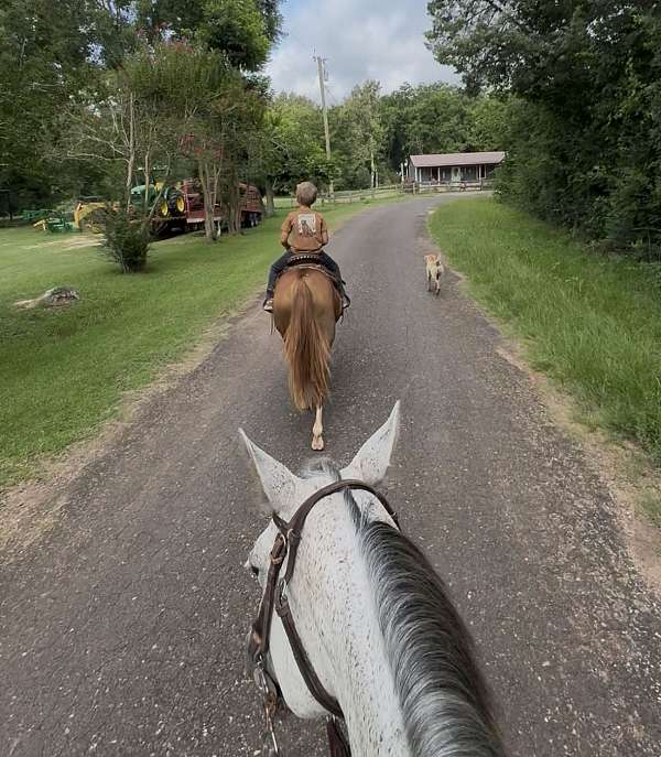 chestnut-star-four-white-socks-pony