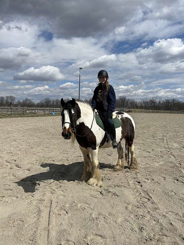 one-blue-eye-mare