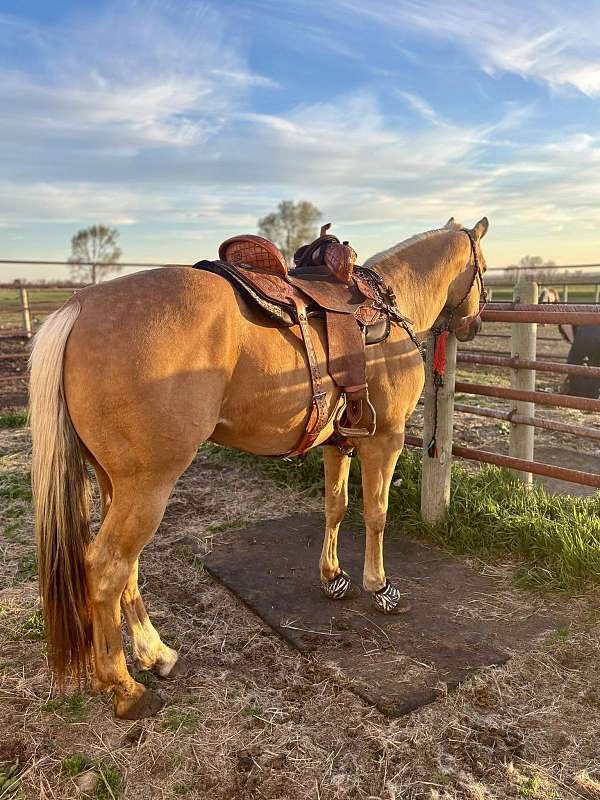 peptos-pretty-pep-quarter-horse